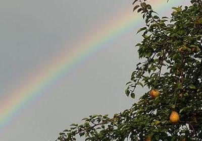 经典爱情名言名句(共20句)