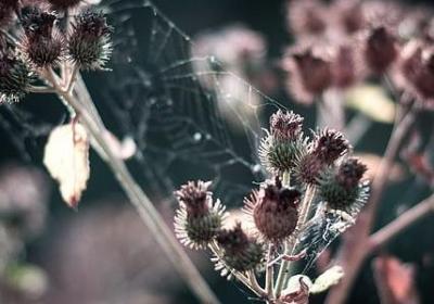 积极向上的名言警句(通用78句)