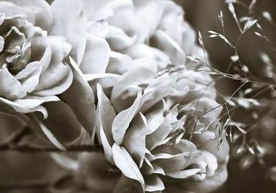 苏格拉底 名言(热门45句) 苏格拉底 名言(热门45句)