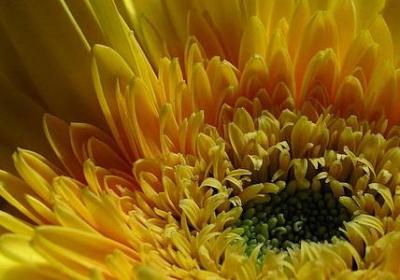 社会实践的名言(实用20句) 社会实践的名言(实用20句)