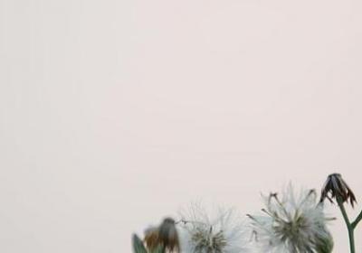 至理名言激励人生(通用70句) 至理名言激励人生(通用70句)