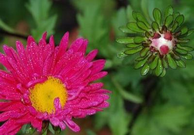 红色经典名言(共100句) 红色经典名言(共100句)