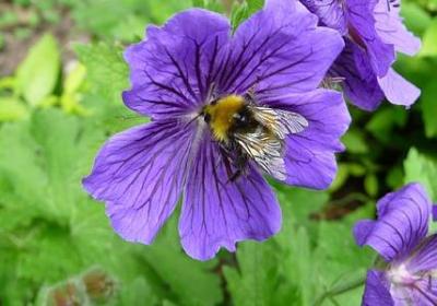 节约用水的名言警句(合集60句) 节约用水的名言警句(合集60句)