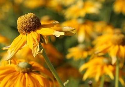 读书的励志名言(必备100句) 读书的励志名言(必备100句)