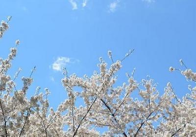 责任的名言名句(实用51句) 责任的名言名句(实用51句)