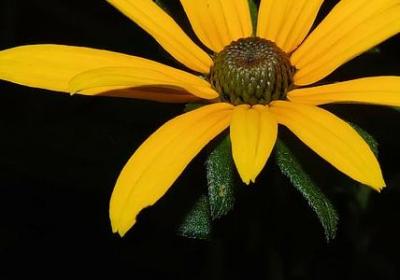 读书的名言警句有哪些(共60句) 读书的名言警句有哪些(共60句)