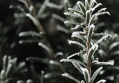 表示珍惜时间的名言(推荐50句) 表示珍惜时间的名言(推荐50句)