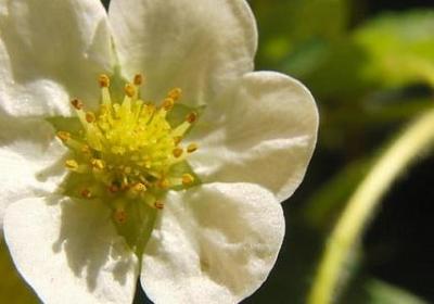 跟书有关的名言(共49句) 跟书有关的名言(共49句)