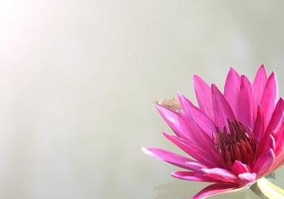 规矩的名言警句(共70句) 规矩的名言警句(共70句)