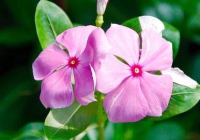 读书重要的名言(优选41句) 读书重要的名言(优选41句)