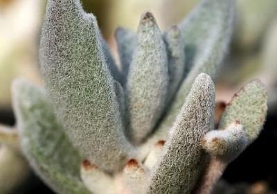 诚信友善的名言(精选60句) 诚信友善的名言(精选60句)