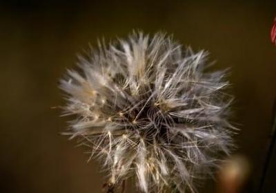 锲而不舍的名言(热门50句) 锲而不舍的名言(热门50句)