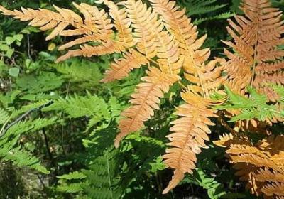 诚信名言名句(必备40句) 诚信名言名句(必备40句)