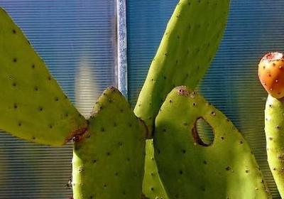 赞美祖国的名言(共80句) 赞美祖国的名言(共80句)