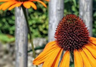 跟读书有关的名言(汇总66句) 跟读书有关的名言(汇总66句)