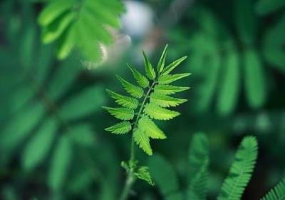 远大前程经典语录(汇总50句)