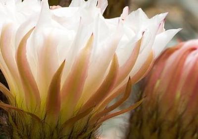 自强不息的名言格言(50句)