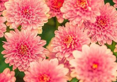 科学的名言名句(共50句) 科学的名言名句(共50句)