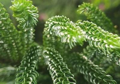 英文的名言名句(通用115句) 英文的名言名句(通用115句)