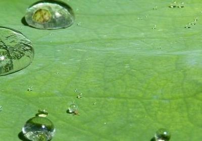 苏格拉底名言英语(精选76句) 苏格拉底名言英语(精选76句)