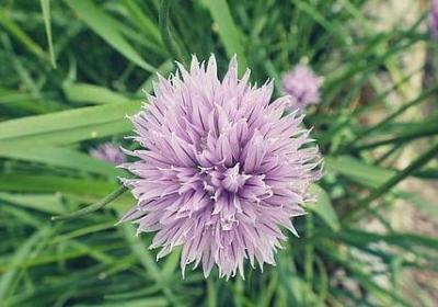 科技名人名言(汇总39句)