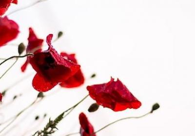 董卿的名言名句(48句) 董卿的名言名句(48句)