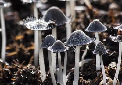 经商之道的名言(实用60句) 经商之道的名言(实用60句)