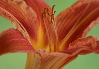 自律的名人名言(实用20句) 自律的名人名言(实用20句)