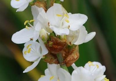 经历磨难的名言(实用60句) 经历磨难的名言(实用60句)