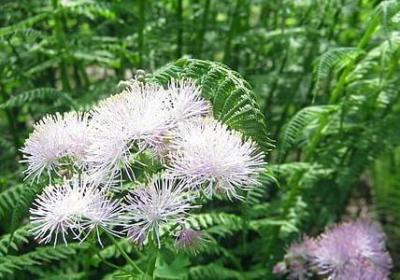 网络安全名言(10句) 网络安全名言(10句)