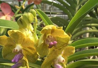 至理名言意思(必备90句) 至理名言意思(必备90句)