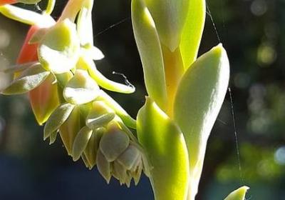 职业规划名言(精选98句) 职业规划名言(精选98句)