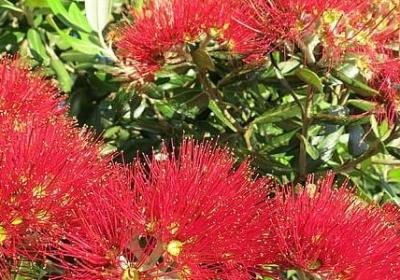 遵守规则的名言警句(推荐60句)