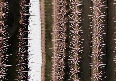 读书手抄报名言(实用50句)