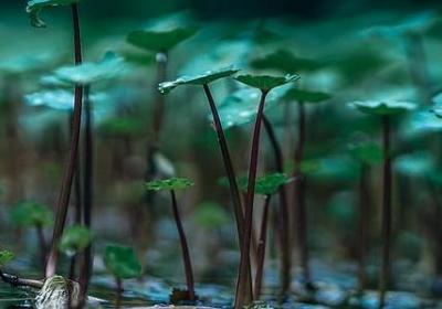 读书励志的名言(必备70句) 读书励志的名言(必备70句)