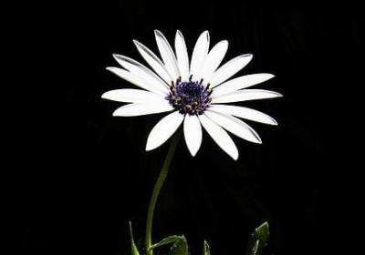 表示时间的名言(优选40句) 表示时间的名言(优选40句)