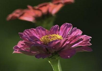 锻炼励志名言(优选80句) 锻炼励志名言(优选80句)