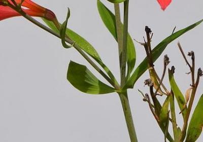 设计师的名言(必备68句) 设计师的名言(必备68句)