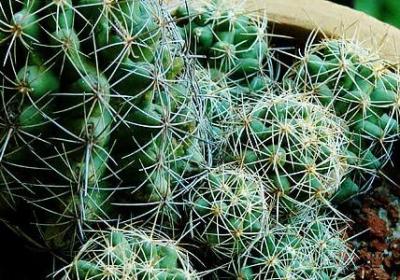 西方哲学家名言(精选82句) 西方哲学家名言(精选82句)