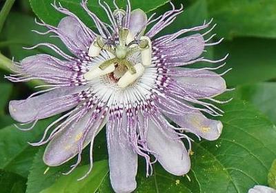 钱学森名人名言(必备100句) 钱学森名人名言(必备100句)