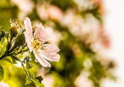 读书经典名言(热门40句) 读书经典名言(热门40句)