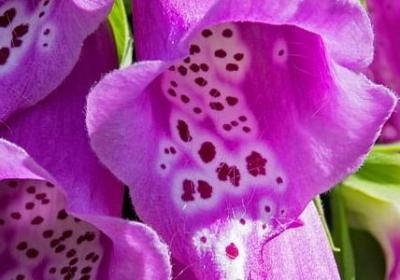 读书的好处的名言(推荐40句) 读书的好处的名言(推荐40句)