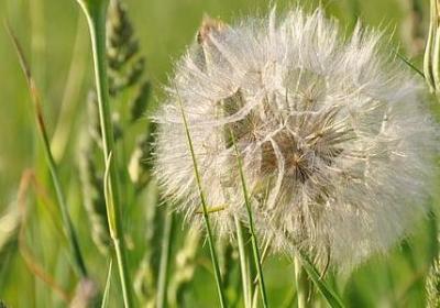 赞美老师的名言警句(推荐40句) 赞美老师的名言警句(推荐40句)