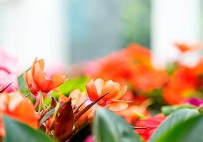 读书有关的名言警句(必备60句) 读书有关的名言警句(必备60句)