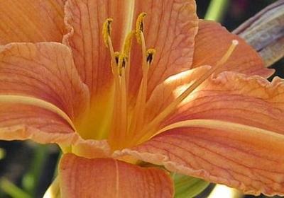 谦虚谨慎的名言(热门100句) 谦虚谨慎的名言(热门100句)