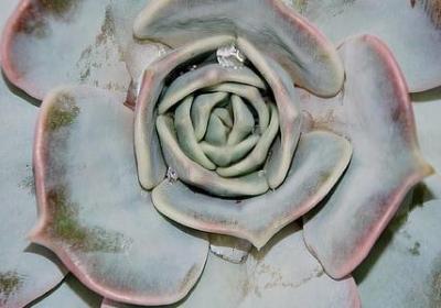 选择的名言警句(共80句) 选择的名言警句(共80句)