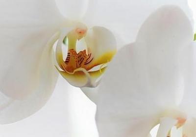 读书方法名言(热门30句) 读书方法名言(热门30句)