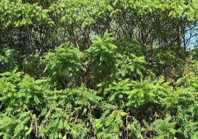 追逐梦想的名言(合集20句) 追逐梦想的名言(合集20句)