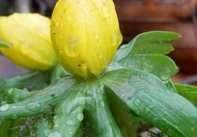 读书的诗句或名言(精选58句) 读书的诗句或名言(精选58句)