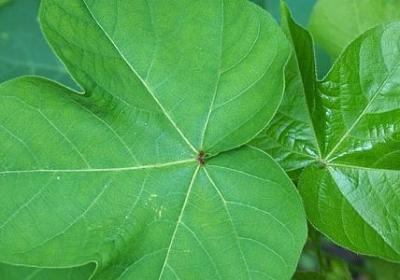 选择朋友的名言(合集40句) 选择朋友的名言(合集40句)